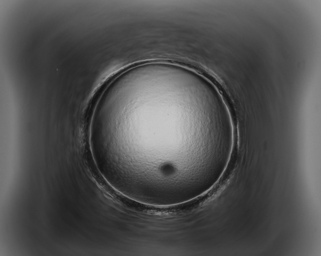 X0000085781501200703231234