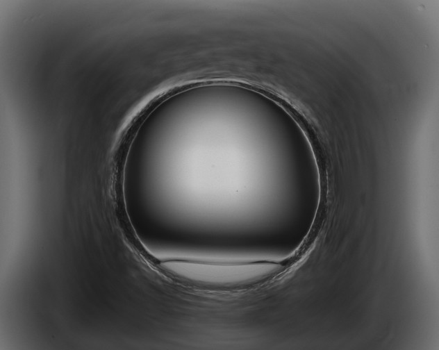 X0000085781502200703231234