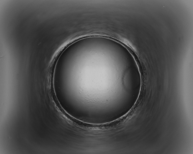 X0000085781504200703231234