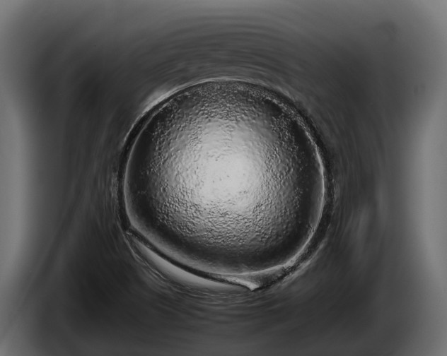 X0000085781505200703231234