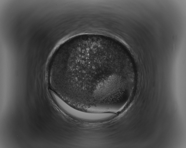 X0000085781506200703231234