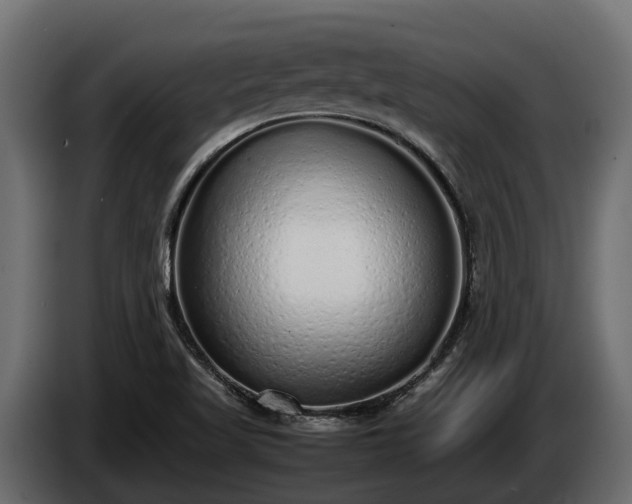 X0000085781509200703231234