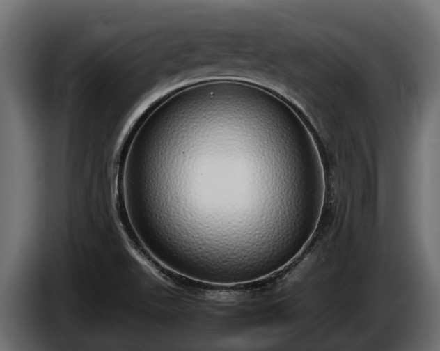 X0000085781511200703231234