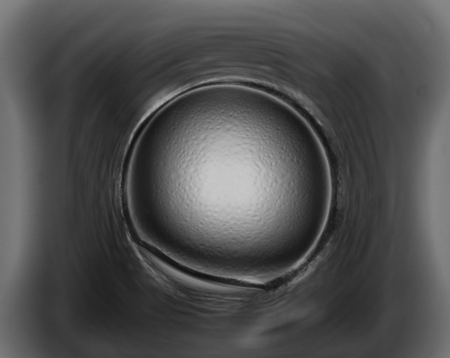 X0000085781513200703231234