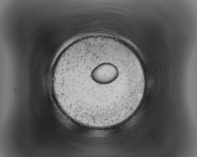 X0000085781514200703231234