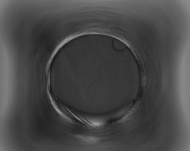 X0000085781515200703231234