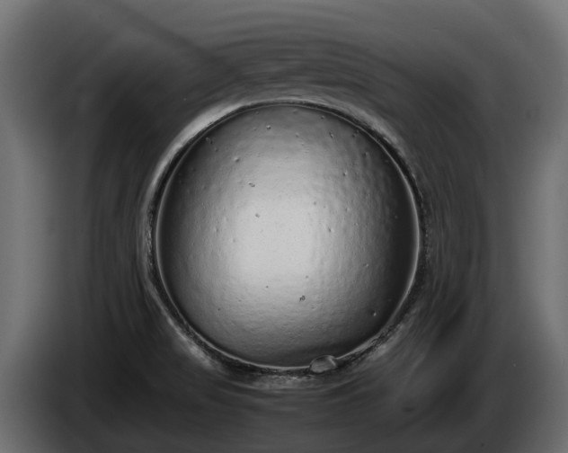 X0000085781517200703231234