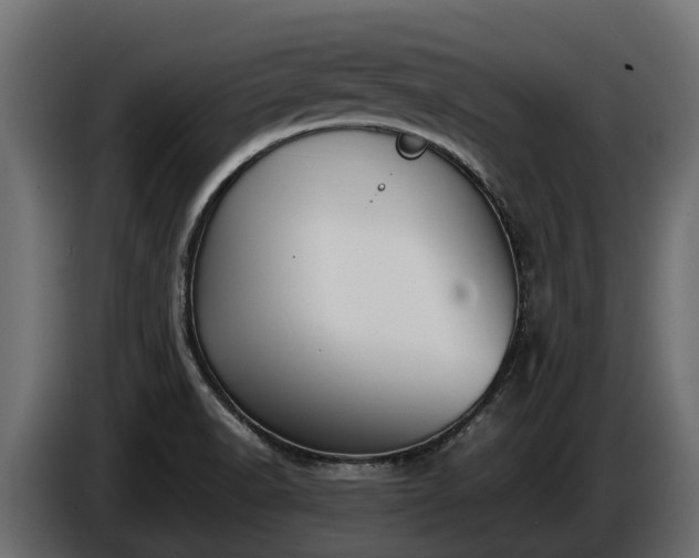 X0000085781518200703231234