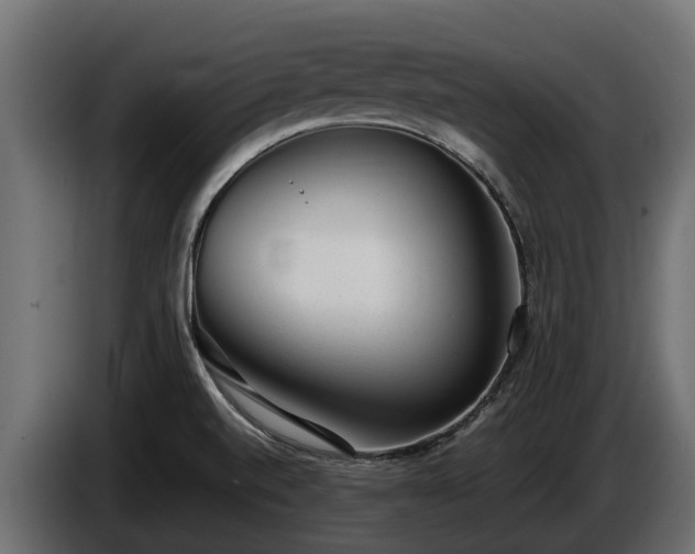 X0000085781520200703231234