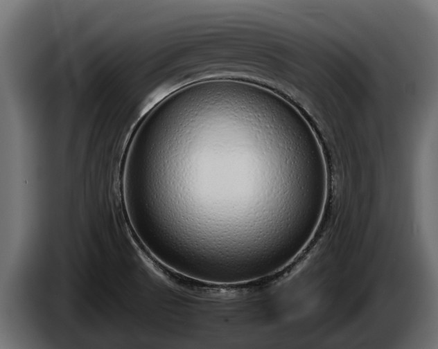 X0000085781521200703231234