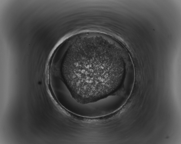 X0000085781522200703231234