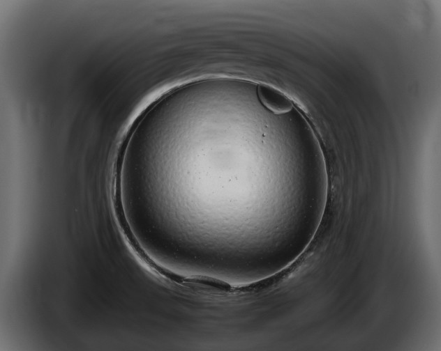 X0000085781523200703231234