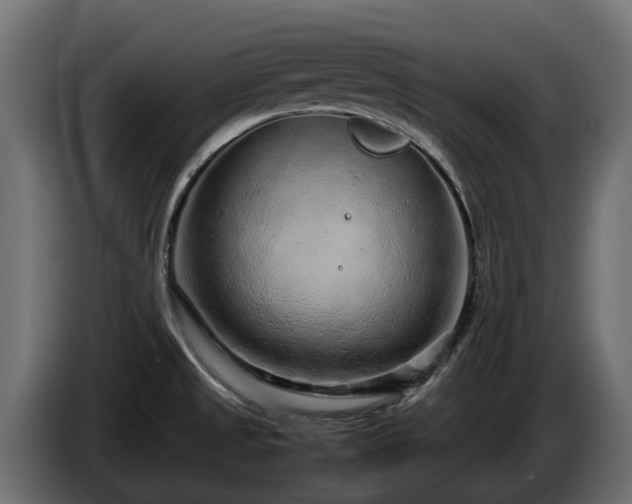 X0000085781525200703231234