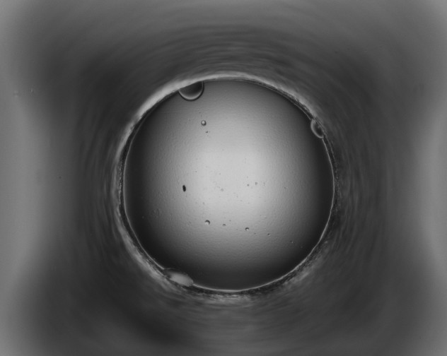 X0000085781526200703231234