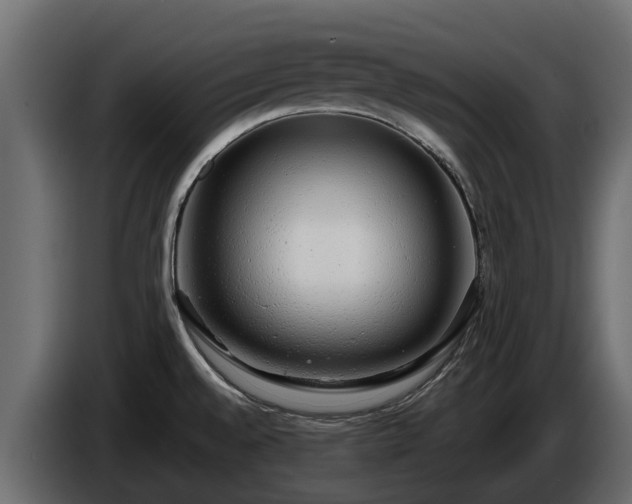 X0000085781528200703231234