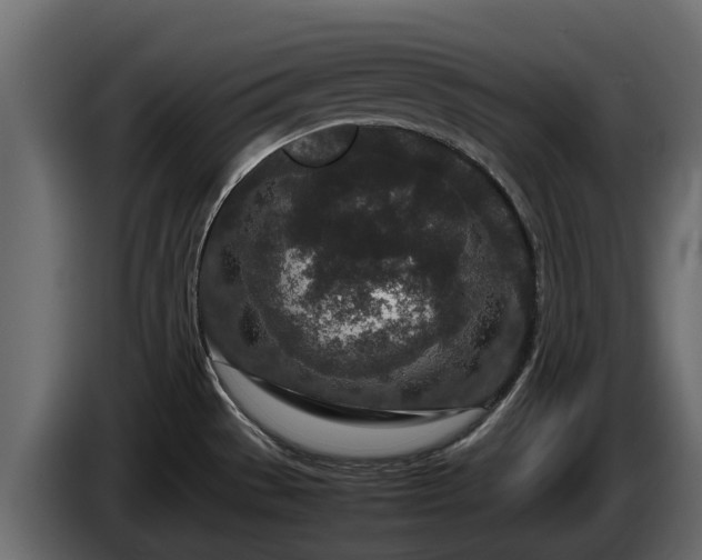 X0000085781529200703231234