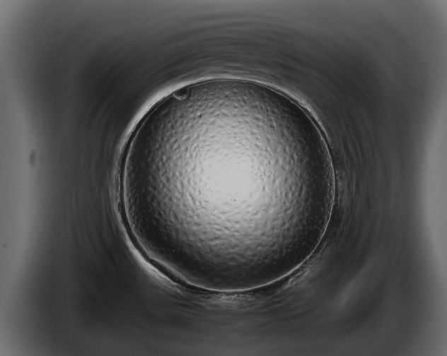 X0000085781531200703231234