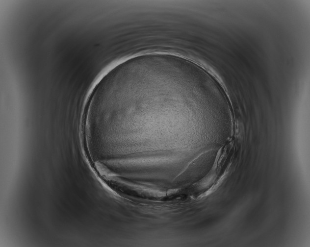 X0000085781533200703231234