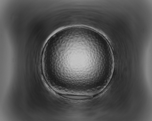 X0000085781534200703231234