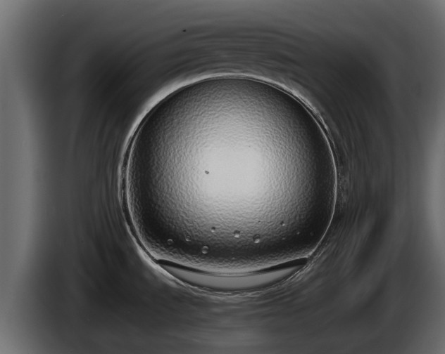 X0000085781535200703231234