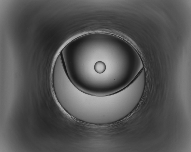 X0000085781536200703231234