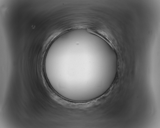 X0000085780001200703301435