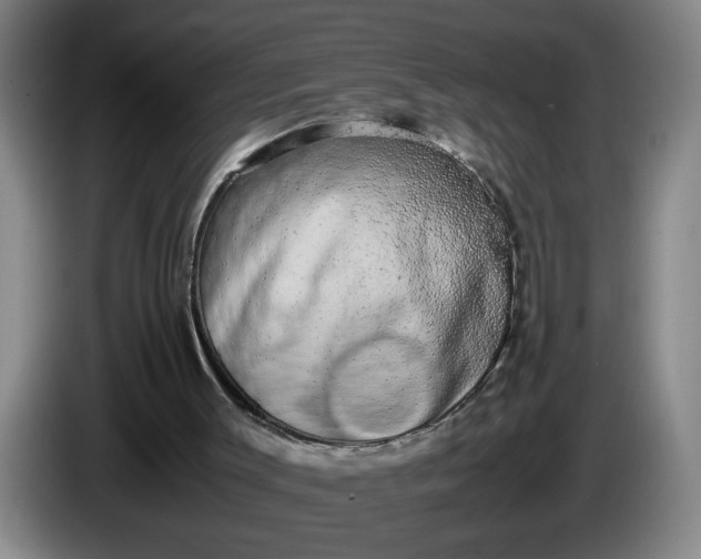 X0000085780003200703301435