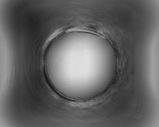 X0000085780005200703301435