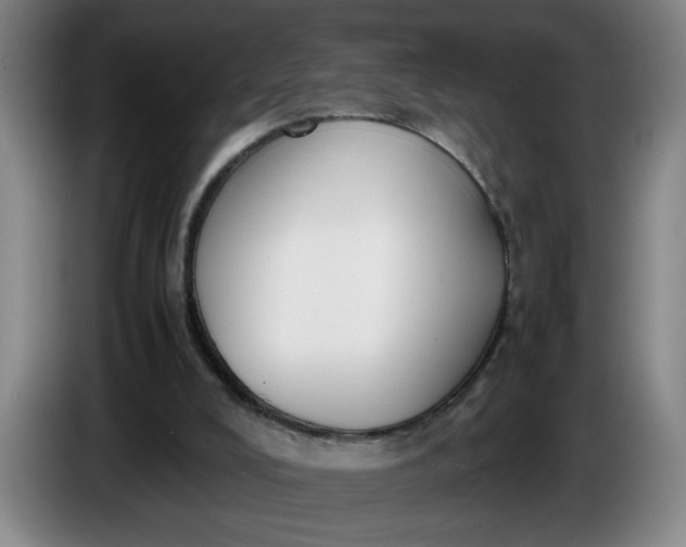 X0000085780008200703301435