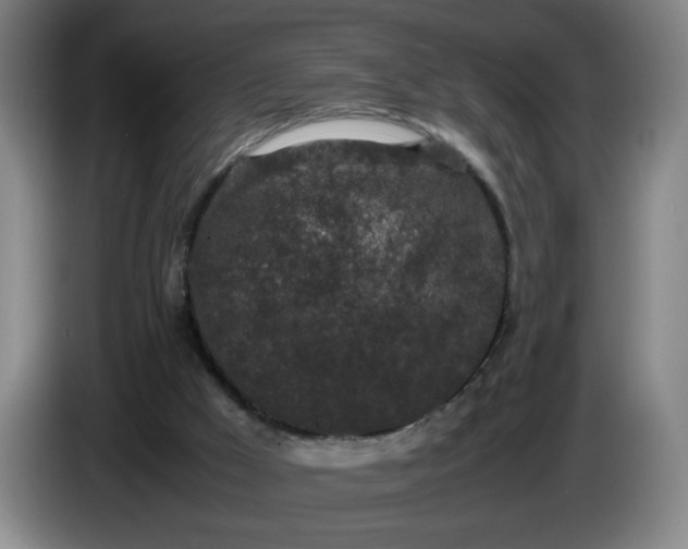 X0000085780009200703301435