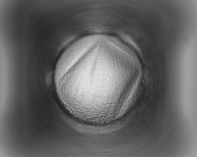 X0000085780010200703301435