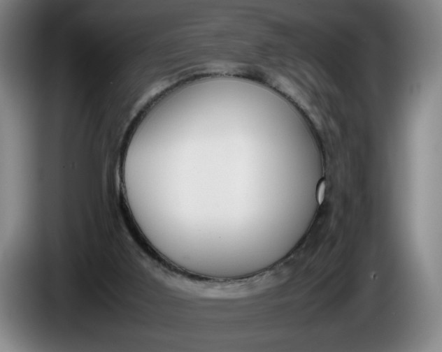 X0000085780011200703301435