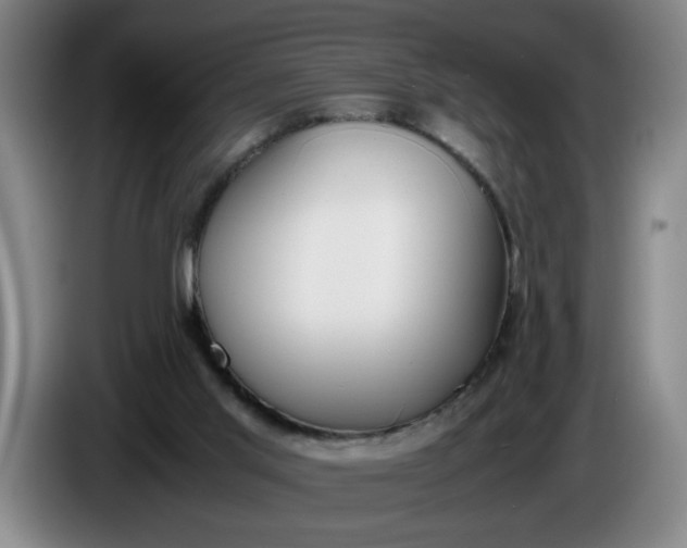 X0000085780013200703301435