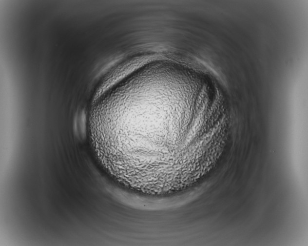 X0000085780014200703301435