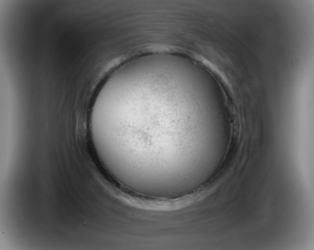 X0000085780015200703301435