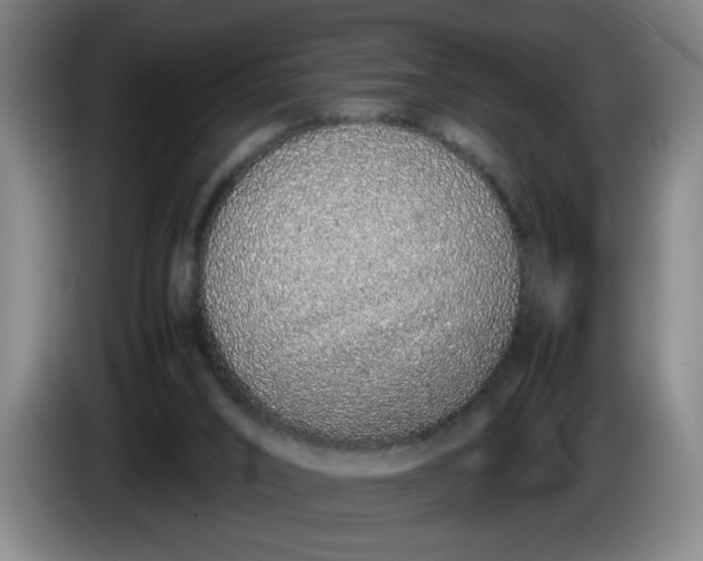 X0000085780016200703301435