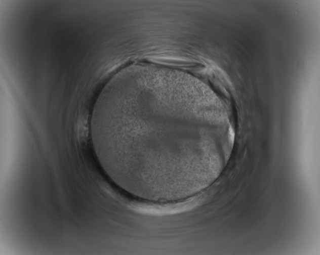 X0000085780017200703301435