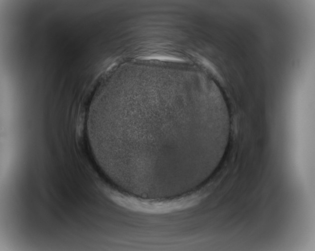 X0000085780018200703301435