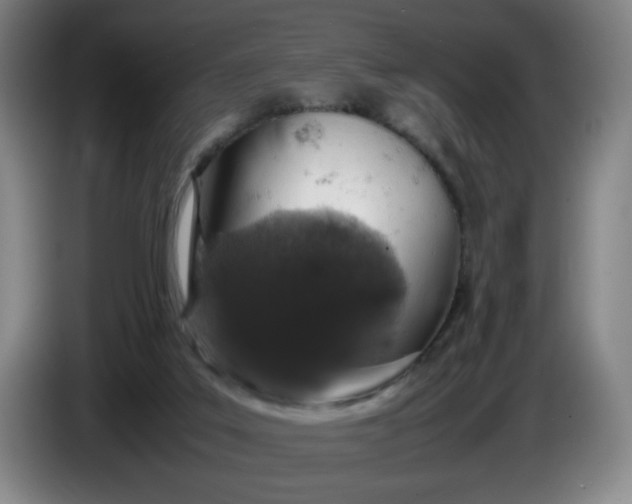 X0000085780019200703301435