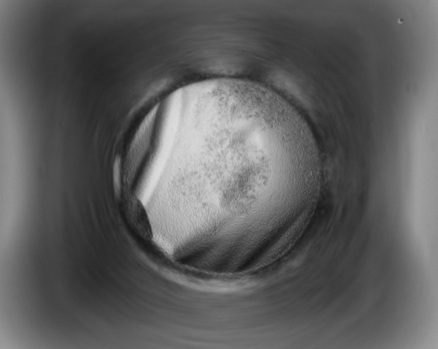 X0000085780020200703301435