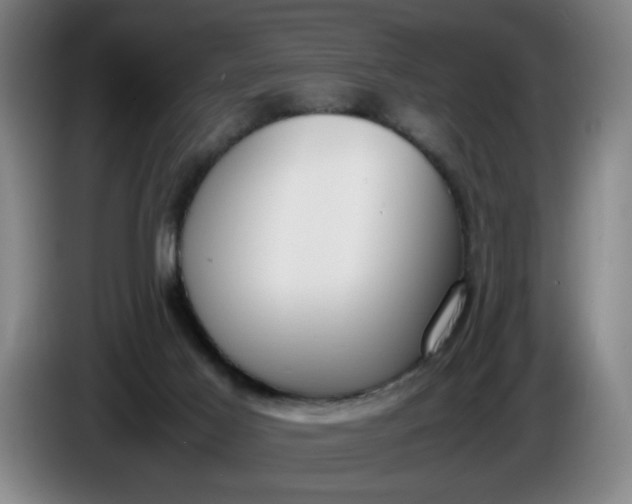 X0000085780021200703301435