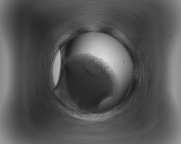 X0000085780023200703301435