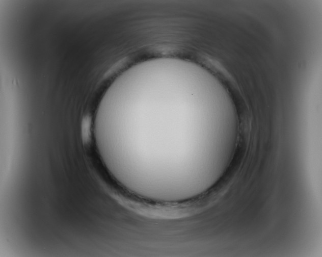 X0000085780024200703301435