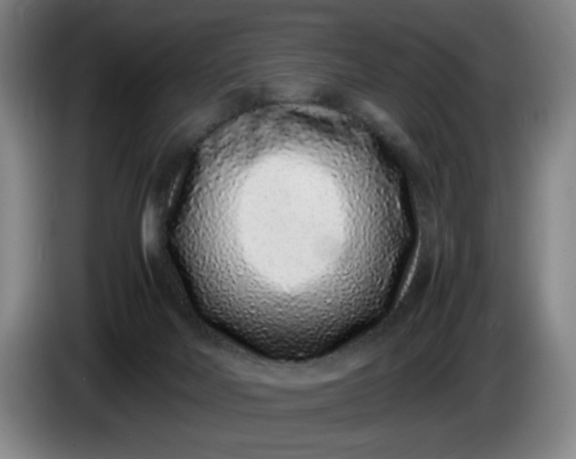 X0000085780026200703301435