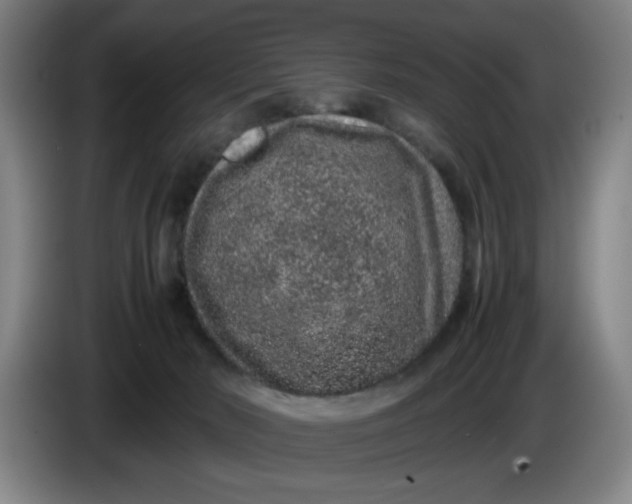 X0000085780030200703301435