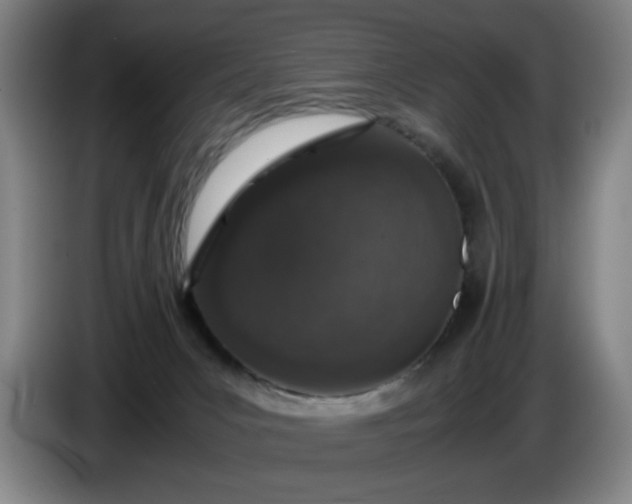 X0000085780031200703301435