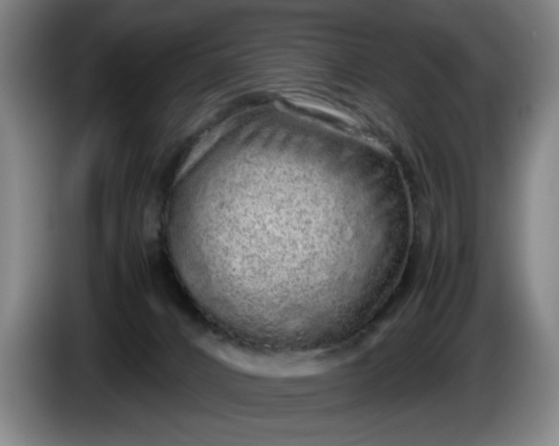 X0000085780032200703301435