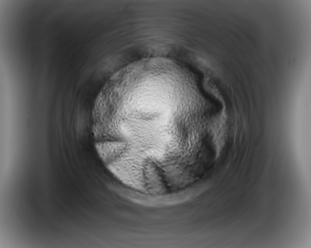 X0000085780034200703301435