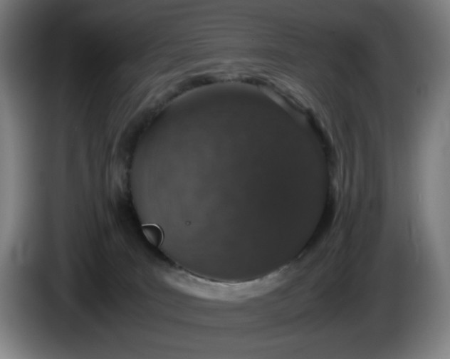 X0000085780035200703301435