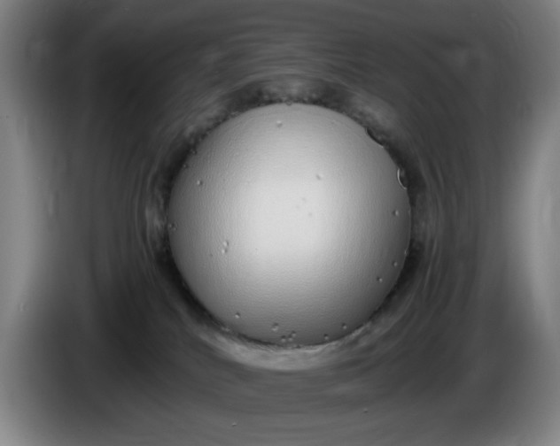 X0000085780040200703301435